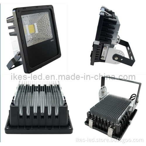 LED Floodlight (IL-FL80P50)